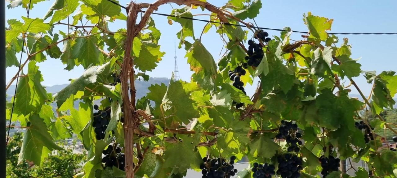 דירות Eco טביליסי מראה חיצוני תמונה